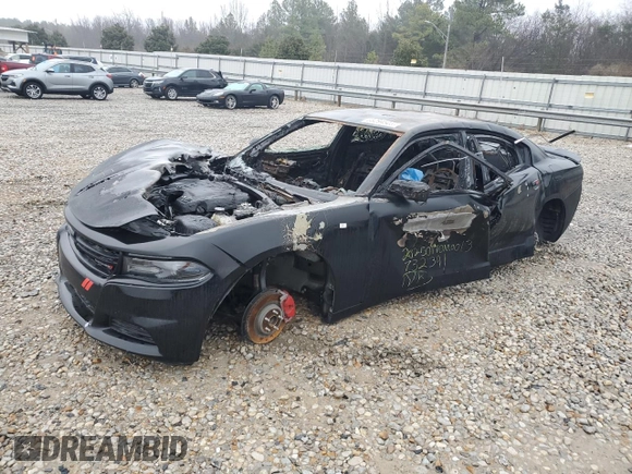 2019 Dodge Charger SXT with VIN 2C3CDXBG7KH732391, listed as a Copart auction lot 88853455 with Not Provided miles and Salvage Title. Bid and sale history available at carsss.com. Image 1.