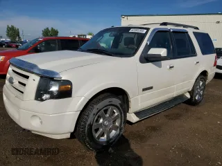 2007 Ford Expedition Limited with VIN 1FMFU20597LA28227, listed as a Copart auction lot 62595385 with 316,094 mi miles and Salvage title. Bid and sale history available at DreamBid. Image 1.