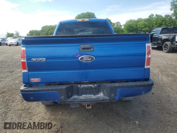 2009 Ford F-150 XL z VIN 1FTPX14V69FB16769, wystawiony jako Copart lot #57498575 z przebiegiem 168 162 mil mil oraz Szkoda całkowita • Salvage title. Historia ofert i sprzedaży dostępna na DreamBid. Obrazek 6.
