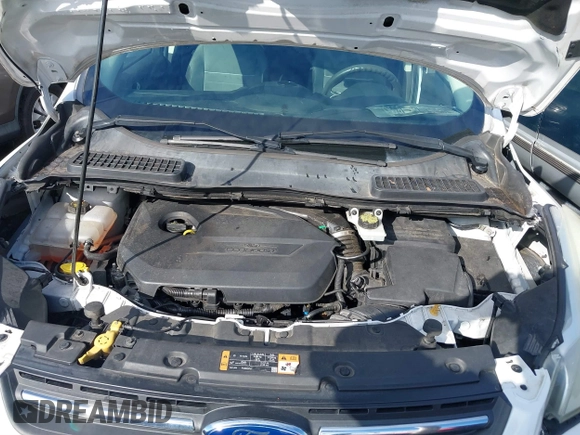 2014 Ford Escape SE with VIN 1FMCU0GX0EUE35004, listed as a IAAI auction lot 40811631 with 126,464 mi miles. Bid and sale history available at carsss.com. Image 10.