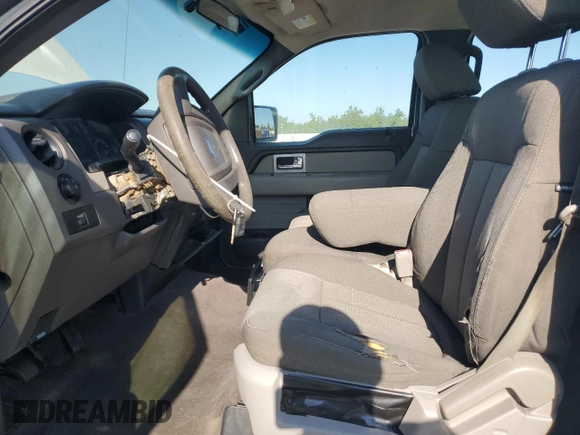 2009 Ford F-150 XL with VIN 1FTRW12W19KC95673, listed as a Copart auction lot 65025015 with 113,221 mi miles and Non repairable. Bid and sale history available at DreamBid. Image 7.
