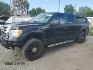 2010 Ford F-150 XL with VIN 1FTEX1C86AFD96491, listed as a Copart auction lot 62287115 with 283,496 mi miles and Clean title. Bid and sale history available at DreamBid. Image 1.