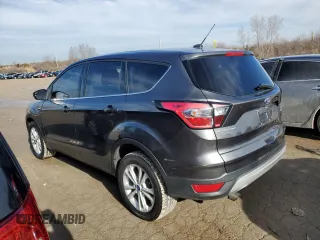 2017 Ford Escape SE with VIN 1FMCU0GDXHUE10346, listed as a Copart auction lot 43651645 with 192,805 mi miles and Clean Title. Bid and sale history available at carsss.com. Image 2.