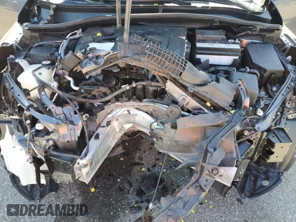 2020 Toyota C-HR LE with VIN JTNKHMBX4L1083431, listed as a Copart auction lot 49535465 with 17,802 mi miles and Salvage Title. Bid and sale history available at DreamBid. Image 13.