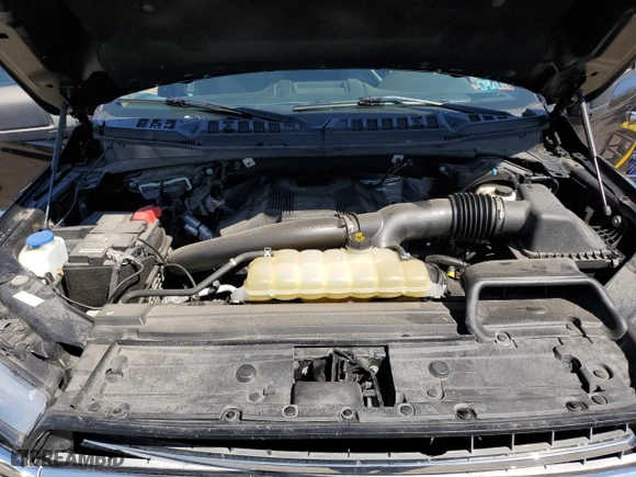 2019 Ford F-150 XL with VIN 1FTEW1E45KFD09825, listed as a Copart auction lot 52302845 with 50,751 mi miles and Salvage Title. Bid and sale history available at carsss.com. Image 11.