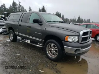 2002 Dodge 1500 with VIN 3D7HU18N72G165352, listed as a Copart auction lot 46918575 with Not Provided miles and Salvage Title. Bid and sale history available at carsss.com. Image 4.