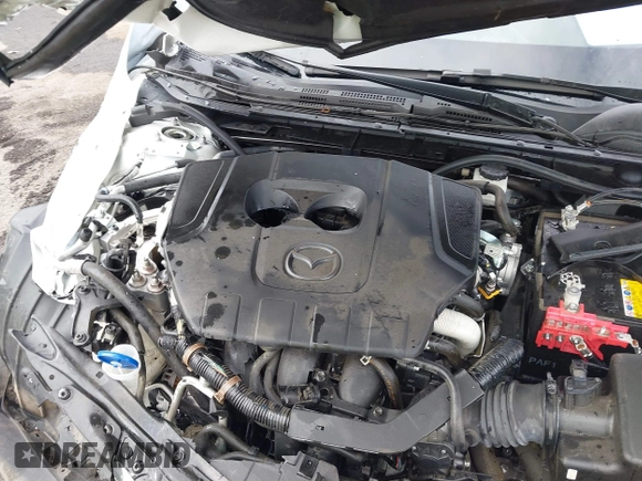 2023 Mazda 3 S Select with VIN JM1BPAKM9P1604211, listed as a IAAI auction lot 42093424 with Not provided miles and . Bid and sale history available at DreamBid. Image 10.
