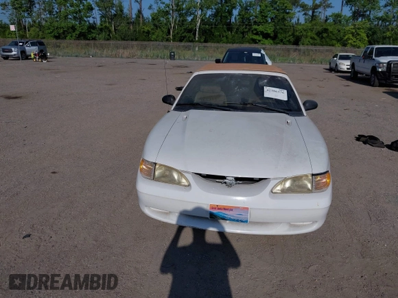 1995 Ford Mustang with VIN 1FALP4442SF243571, listed as a IAAI auction lot 42306376 with 227,445 mi miles and . Bid and sale history available at DreamBid. Image 6.