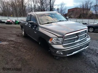 2010 Dodge Ram 1500 SLT with VIN 1D7RV1GP2AS184046, listed as a Copart auction lot 86335144 with 168,913 mi miles and Salvage Title. Bid and sale history available at carsss.com. Image 10.