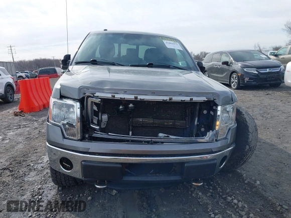 2014 Ford F-150 XL with VIN 1FTFX1EF0EFA99464, listed as a IAAI auction lot 41802971 with 146,091 mi miles. Bid and sale history available at carsss.com. Image 12.