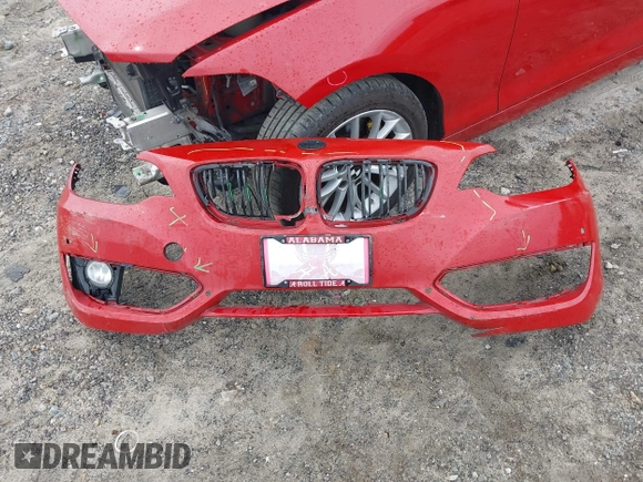 2016 BMW 2 Series 228i with VIN WBA1F9C54GV742703, listed as a IAAI auction lot 42209964 with 114,330 mi miles and . Bid and sale history available at DreamBid. Image 12.