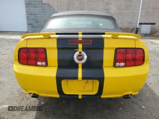 2005 Ford Mustang GT Deluxe with VIN 1ZVHT85H355249973, listed as a Copart auction lot 49499155 with 129,915 mi miles and Salvage Title. Bid and sale history available at DreamBid. Image 6.