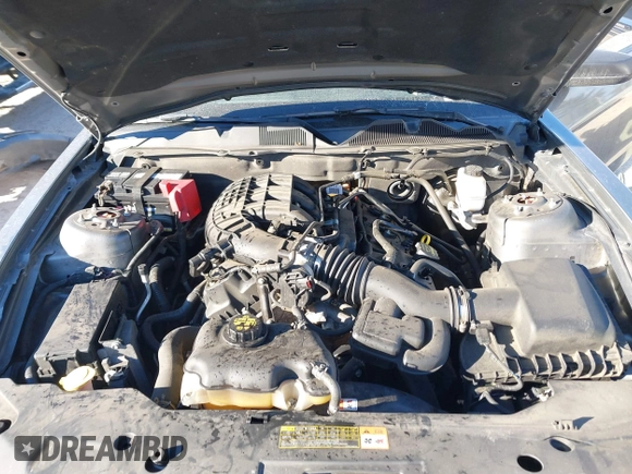 2011 Ford Mustang V6 with VIN 1ZVBP8AMXB5123084, listed as a IAAI auction lot 41359860 with 123,589 mi miles and . Bid and sale history available at carsss.com. Image 10.