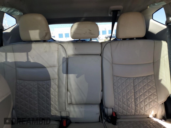 2020 Nissan Murano Platinum with VIN 5N1AZ2DS7LN156847, listed as a Copart auction lot 47846415 with Not provided miles and Salvage title. Bid and sale history available at DreamBid. Image 10.
