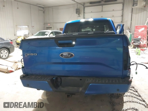 2016 Ford F-150 XLT with VIN 1FTEX1EP8GFC72915, listed as a IAAI auction lot 41199838 with 162,534 mi miles. Bid and sale history available at carsss.com. Image 16.