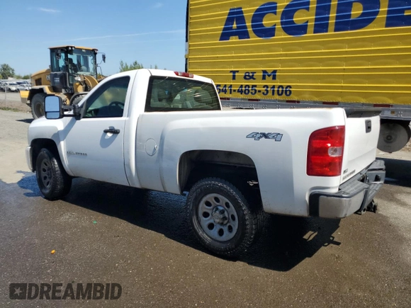 2009 Chevrolet Silverado 1500 1LT with VIN 1GCEK140X9Z129260, listed as a Copart auction lot 52605715 with 283,906 mi miles and Salvage Title. Bid and sale history available at DreamBid. Image 2.