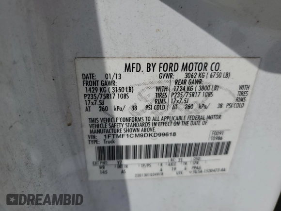 2013 Ford F-150 XL with VIN 1FTMF1CM9DKD99618, listed as a Copart auction lot 56336075 with 178,188 mi miles and Salvage title. Bid and sale history available at DreamBid. Image 13.