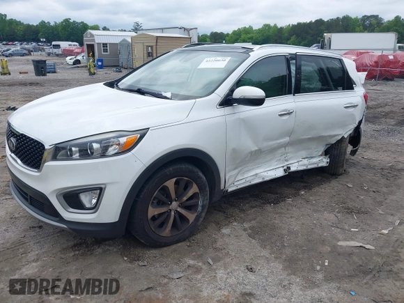 2017 Kia Sorento EX with VIN 5XYPH4A55HG253166, listed as a IAAI auction lot 42220030 with 129,524 mi miles and . Bid and sale history available at DreamBid. Image 17.