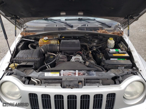 2002 Jeep Liberty Limited with VIN 1J8GL58K42W186921, listed as a Copart auction lot 46114975 with 183,200 mi miles and Clean Title. Bid and sale history available at carsss.com. Image 12.