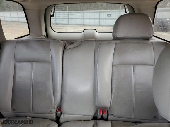 2007 Chevrolet TrailBlazer LT with VIN 1GNDS13S972181037, listed as a Copart auction lot 43386965 with 199,143 mi miles and Salvage Title. Bid and sale history available at carsss.com. Image 10.