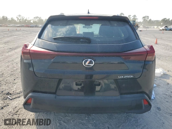 2024 Lexus UX with VIN JTHX6JBH9R2189737, listed as a Copart auction lot 77551214 with 0 mi miles and Salvage Title. Bid and sale history available at carsss.com. Image 6.