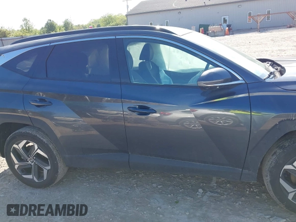 2024 Hyundai Tucson Limited with VIN 5NMJECDE4RH297445, listed as a IAAI auction lot 42226439 with 11,824 mi miles and . Bid and sale history available at DreamBid. Image 13.