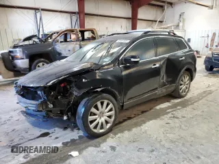 2008 Mazda CX-9 Sport with VIN JM3TB28A880162381, listed as a Copart auction lot 45587605 with 283,972 mi miles and Salvage Title. Bid and sale history available at DreamBid. Image 1.
