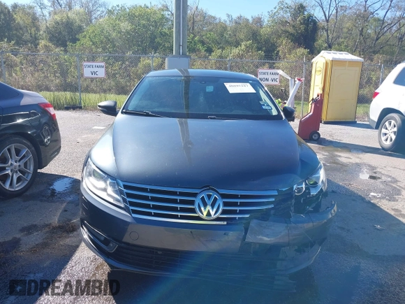 2014 Volkswagen CC R-Line with VIN WVWBN7AN1EE518173, listed as a IAAI auction lot 40895187 with 133,960 mi miles. Bid and sale history available at carsss.com. Image 12.