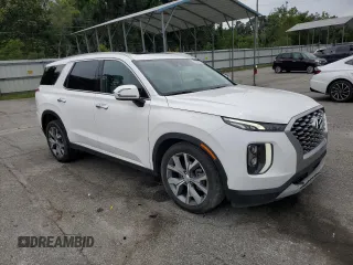 2021 Hyundai Palisade SEL with VIN KM8R3DHE3MU212178, listed as a Copart auction lot 60344725 with 109,362 mi miles and Salvage title. Bid and sale history available at DreamBid. Image 4.