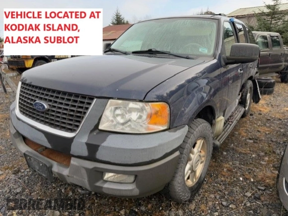 2003 Ford Expedition Special Service with VIN 1FMPU16L93LC21489, listed as a Copart auction lot 85745064 with 160,945 mi miles and Salvage Title. Bid and sale history available at carsss.com. Image 2.