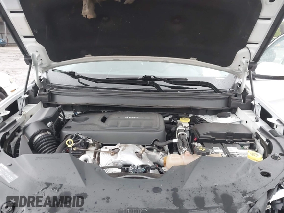2019 Jeep Cherokee Limited with VIN 1C4PJMDN9KD173231, listed as a IAAI auction lot 41834562 with 133,777 mi miles. Bid and sale history available at carsss.com. Image 10.