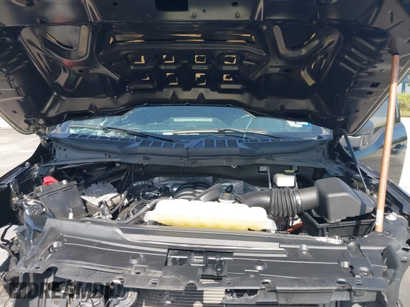 2023 Ford F-150 XL with VIN 1FTEW1C56PFC28013, listed as a IAAI auction lot 42242994 with Not Provided miles and . Bid and sale history available at DreamBid. Image 10.
