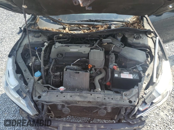 2017 Honda Accord Sedan LX with VIN 1HGCR2F33HA276454, listed as a Copart auction lot 55407955 with 136,415 mi miles and Salvage Title. Bid and sale history available at carsss.com. Image 11.