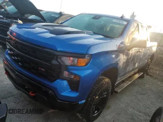 2022 Chevrolet Silverado 1500 Custom Trail Boss with VIN 3GCPDCEK3NG686729, listed as a Copart auction lot 75163044 with 32,415 mi miles and Non Repairable. Bid and sale history available at carsss.com. Image 1.