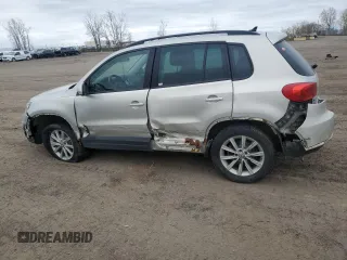 2013 Volkswagen Tiguan S with VIN WVGJV3AX0DW561431, listed as a Copart auction lot 55918795 with 246,907 mi miles and Salvage title. Bid and sale history available at DreamBid. Image 2.