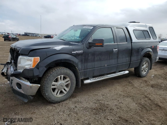 2011 Ford F-150 XL with VIN 1FTFX1EF4BFD16400, listed as a Copart auction lot 49348355 with 253,137 mi miles and Salvage Title. Bid and sale history available at carsss.com. Image 1.