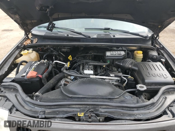 1999 Jeep Grand Cherokee Limited with VIN 1J4G268S3XC728805, listed as a Copart auction lot 79878974 with 206,768 mi miles and Salvage title. Bid and sale history available at DreamBid. Image 12.