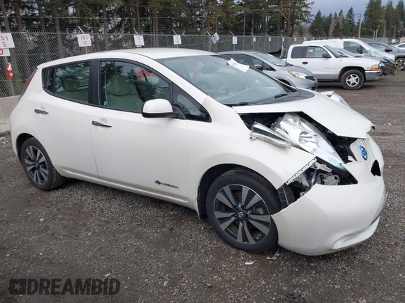 2016 Nissan LEAF SL with VIN 1N4BZ0CP5GC306794, listed as a IAAI auction lot 41120675 with 46,819 mi miles. Bid and sale history available at carsss.com. Image 13.
