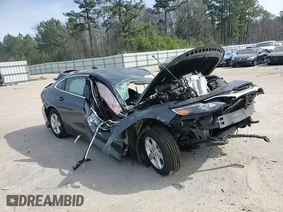2019 Chevrolet Malibu LS with VIN 1G1ZB5ST6KF205532, listed as a Copart auction lot 45573095 with Not Provided miles and Salvage Title. Bid and sale history available at DreamBid. Image 10.