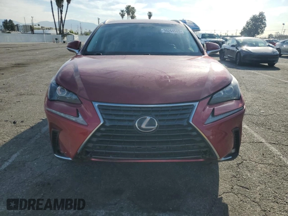 2020 Lexus NX 300 with VIN JTJAARBZXL5001159, listed as a Copart auction lot 50264585 with 49,024 mi miles and Salvage title. Bid and sale history available at DreamBid. Image 5.