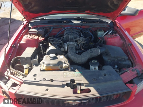 2005 Ford Mustang Deluxe with VIN 1ZVFT80N255128730, listed as a IAAI auction lot 41821271 with 324,513 mi miles. Bid and sale history available at carsss.com. Image 10.