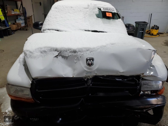 2004 Dodge Dakota Sport with VIN 1D7HL38K24S579283, listed as a Copart auction lot 83004224 with 0 mi miles and Salvage Title. Bid and sale history available at carsss.com. Image 5.