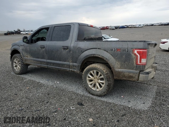 2017 Ford F-150 XL with VIN 1FTEW1EG6HFB05408, listed as a Copart auction lot 48661855 with 231,162 mi miles and Salvage Title. Bid and sale history available at carsss.com. Image 2.