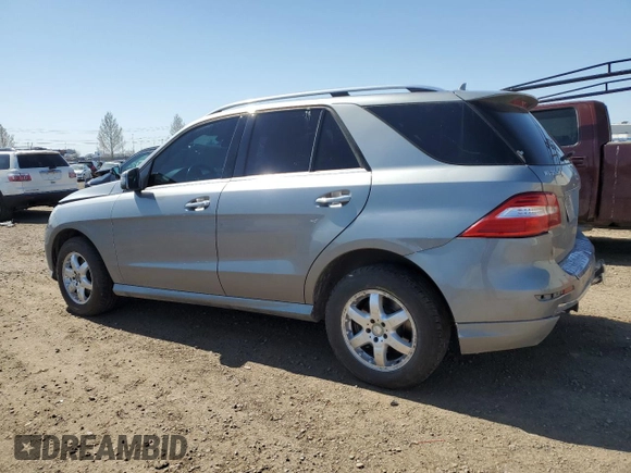 2014 Mercedes-Benz M 350 with VIN 4JGDA2EB6EA333756, listed as a Copart auction lot 55463035 with 246,819 mi miles and Salvage Title. Bid and sale history available at DreamBid. Image 2.