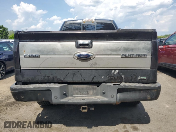 2010 Ford F-150 XL with VIN 1FTFW1EV9AFD28079, listed as a Copart auction lot 62614575 with 213,159 mi miles and Clean title. Bid and sale history available at DreamBid. Image 6.
