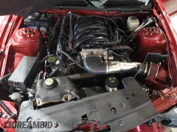 2008 Ford Mustang GT Deluxe with VIN 1ZVHT82H785110065, listed as a Copart auction lot 56034845 with 203,809 mi miles and Clean title. Bid and sale history available at DreamBid. Image 11.
