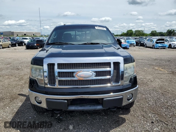 2009 Ford F-150 XL with VIN 1FTPX14V59KC94793, listed as a Copart auction lot 63944495 with 231,181 mi miles and Clean title. Bid and sale history available at DreamBid. Image 5.