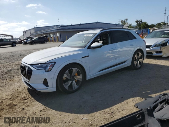 2023 Audi e-tron Premium Plus with VIN WA1LAAGEXPB011100, listed as a Copart auction lot 54008815 with Not provided miles and Salvage title. Bid and sale history available at DreamBid. Image 1.
