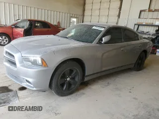 2014 Dodge Charger SE with VIN 2C3CDXBG3EH154651, listed as a Copart auction lot 47644545 with 141,065 mi miles and Salvage Title. Bid and sale history available at carsss.com. Image 1.