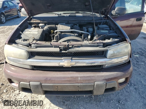2006 Chevrolet TrailBlazer LS with VIN 1GNET16S066111169, listed as a Copart auction lot 42113505 with 187,986 mi miles and Salvage Title. Bid and sale history available at DreamBid. Image 13.